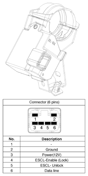 G14563754