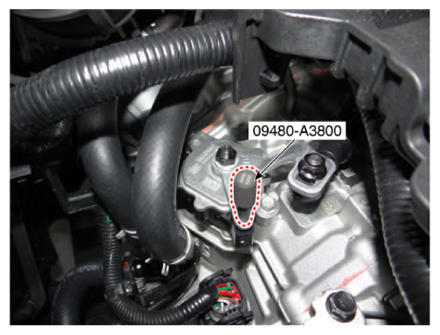 G14564558