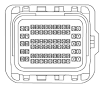 G15477494