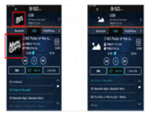 G16238535