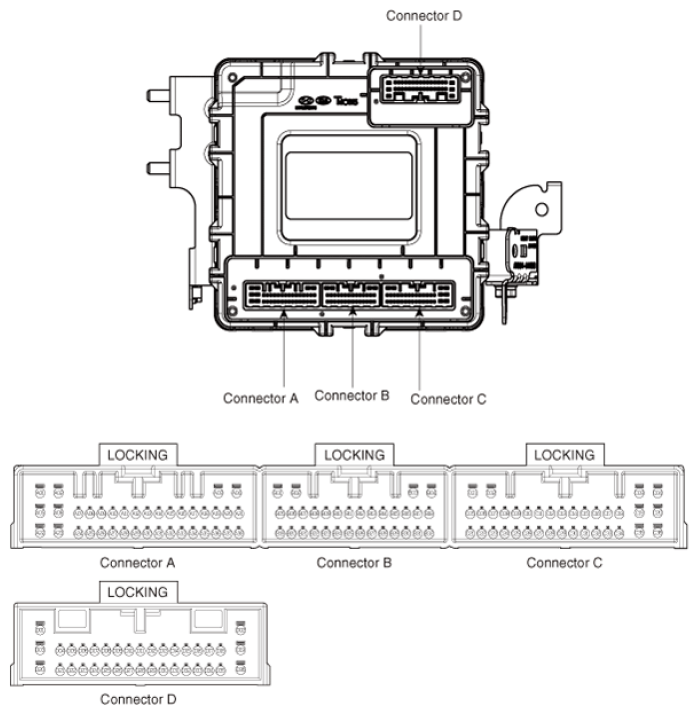 G16855781