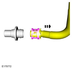 GFD33528