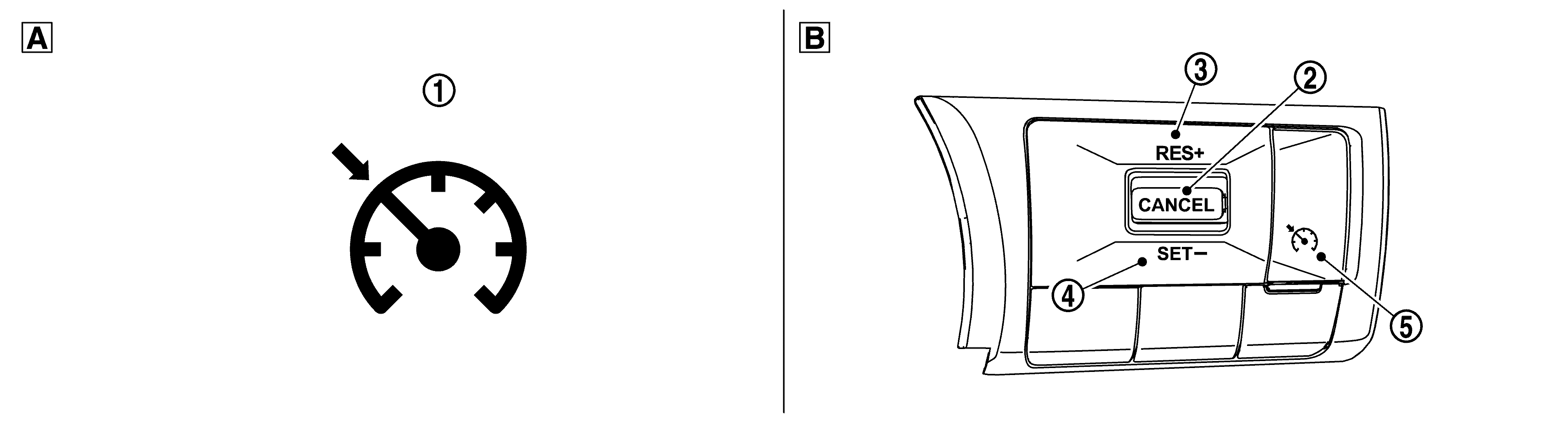 GNSDB45534
